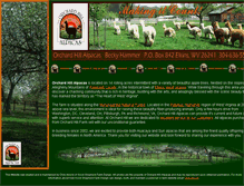 Tablet Screenshot of alpacasofwv.com